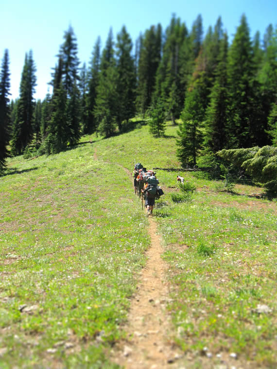 Group of hikers on a trail at mid-day